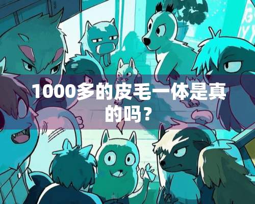 1000多的皮毛一体是真的吗？