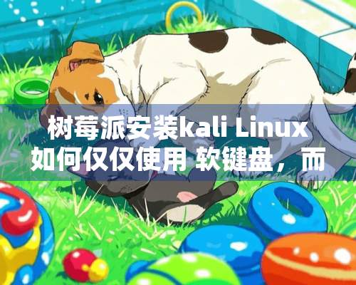 树莓派安装kali Linux如何仅仅使用 软键盘，而不使用 真正的键盘？