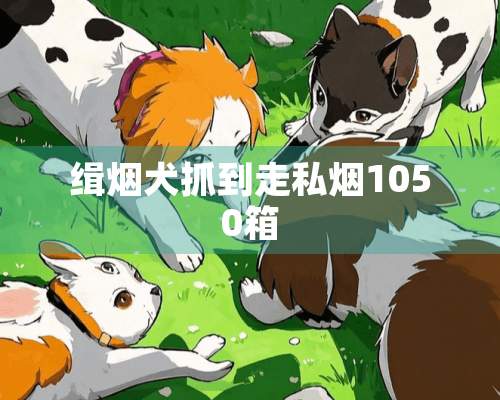 缉烟犬抓到**烟1050箱