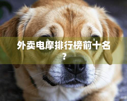 外卖电摩排行榜前十名？