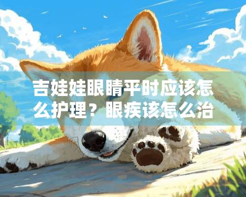 吉娃娃眼睛平时应该怎么护理？眼疾该怎么治疗