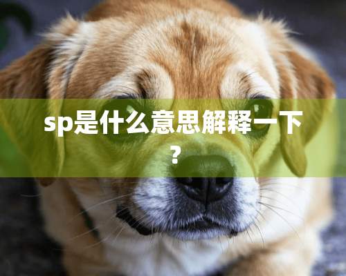 sp是什么意思解释一下？