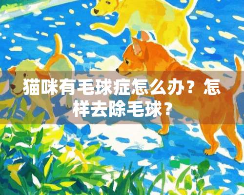 猫咪有毛球症怎么办？怎样去除毛球？