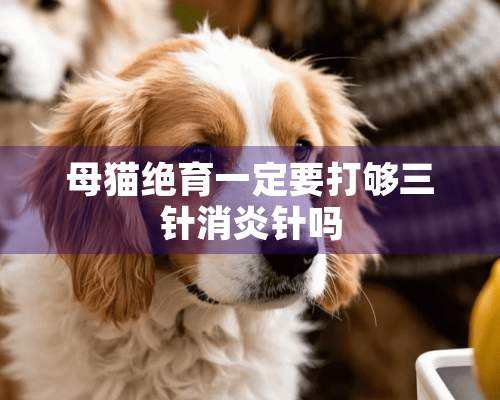 母猫绝育一定要打够三针消炎针吗