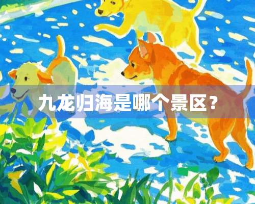 九龙归海是哪个景区？