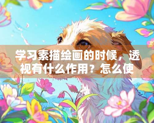 学习素描绘画的时候，**有什么作用？怎么使用？