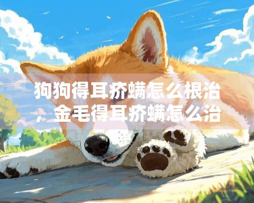 狗狗得耳疥螨怎么根治，金毛得耳疥螨怎么治疗