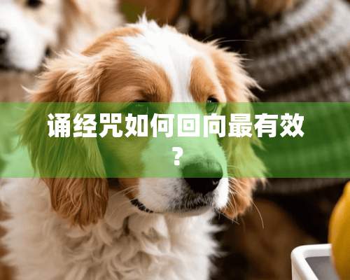 诵经咒如何回向最有效？