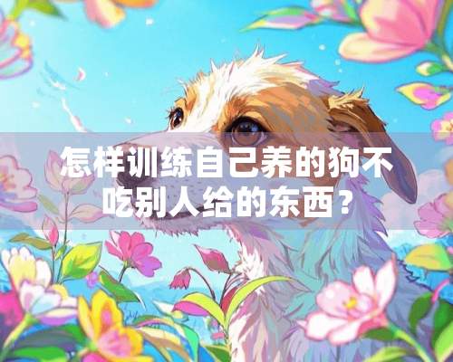 怎样训练自己养的狗不吃别人给的东西？