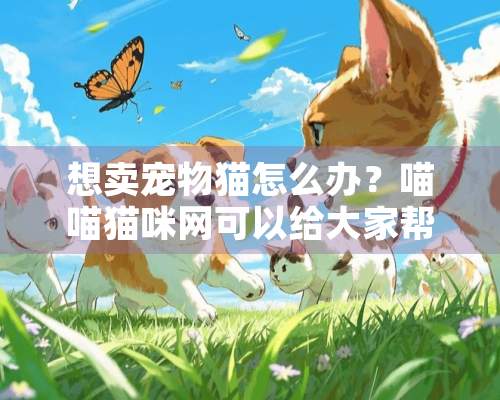 想卖宠物猫怎么办？喵喵猫咪网可以给大家帮助