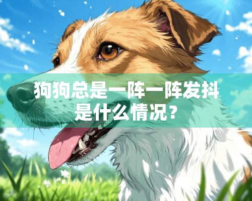 狗狗总是一阵一阵发抖是什么情况？