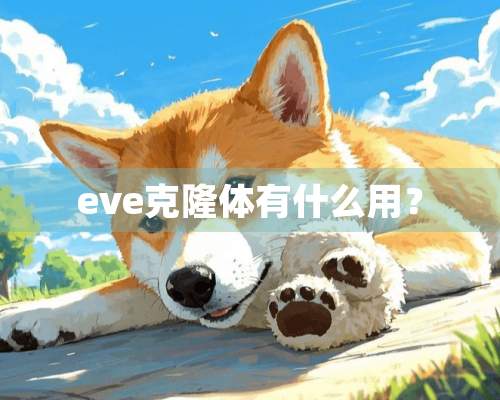 eve**体有什么用？