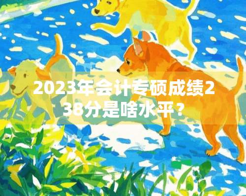 2023年会计专硕成绩238分是啥水平？