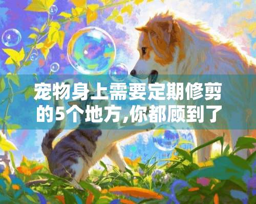 宠物身上需要定期修剪的5个地方,你都顾到了吗