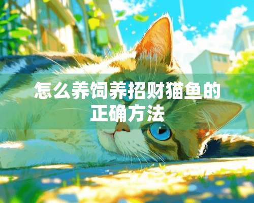 怎么养饲养招财猫鱼的正确方法