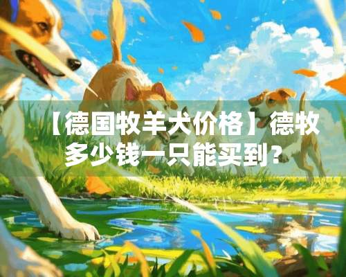 【德国牧羊犬价格】德牧多少钱一只能买到？