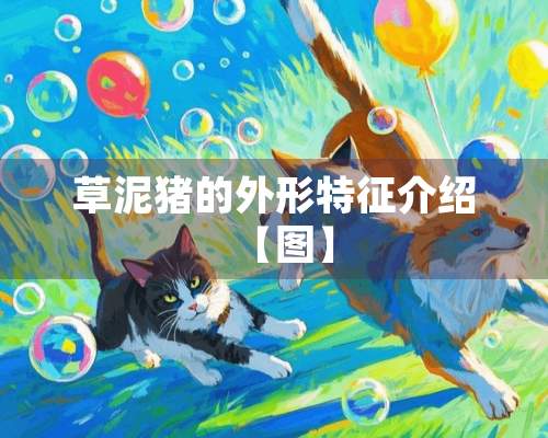 草泥猪的外形特征介绍【图】