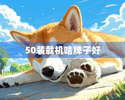 50装载机啥牌子好