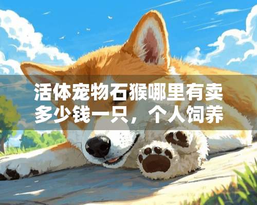 活体宠物石猴哪里有卖多少钱一只，个人饲养可