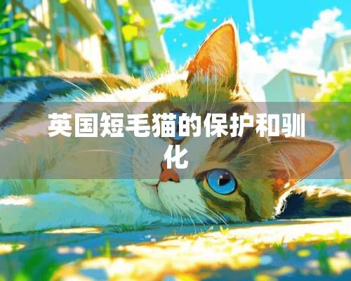 英国短毛猫的保护和驯化