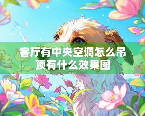 客厅有**空调怎么吊顶有什么效果图