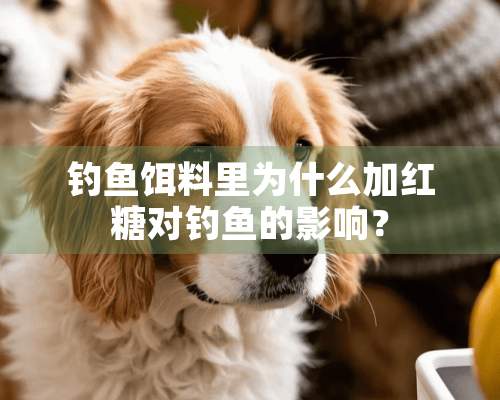 钓鱼饵料里为什么加红糖对钓鱼的影响？