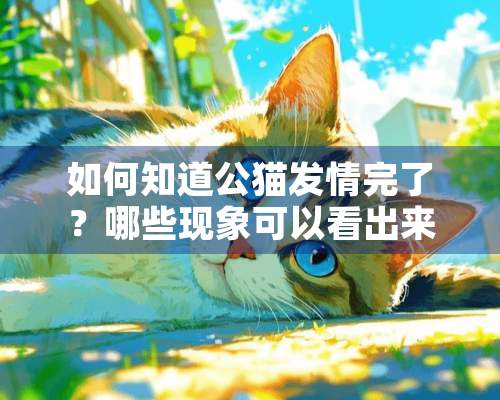 如何知道公猫**完了？哪些现象可以看出来？