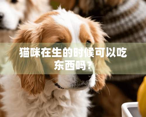 猫咪在生的时候可以吃东西吗？