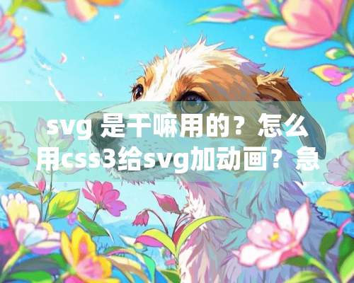 svg 是干嘛用的？怎么用css3给svg加动画？急急急