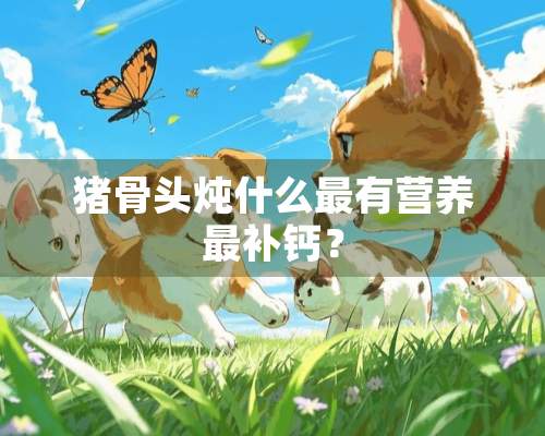 猪骨头炖什么最有营养最补钙？