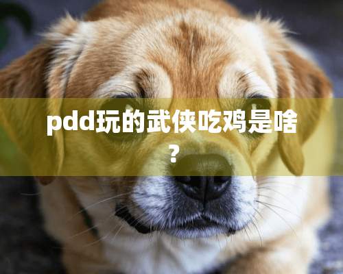 pdd玩的武侠吃鸡是啥？