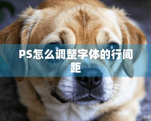 PS怎么调整字体的行间距