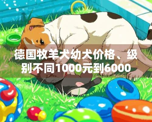 德国牧羊犬幼犬价格、级别不同1000元到6000元不等！