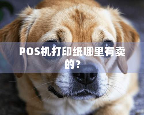 POS机打印纸哪里有卖的？