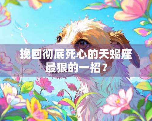 挽回彻底死心的天蝎座最狠的一招？