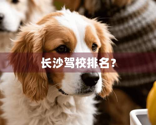 长沙驾校排名？