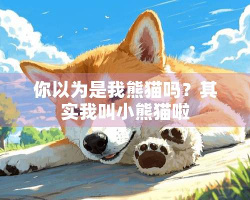 你以为是我熊猫吗？其实我叫小熊猫啦