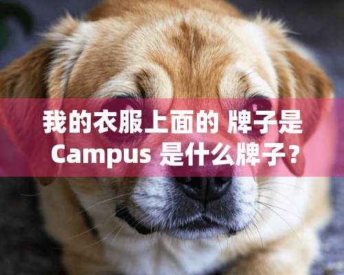 我的衣服上面的 牌子是 Campus 是什么牌子？