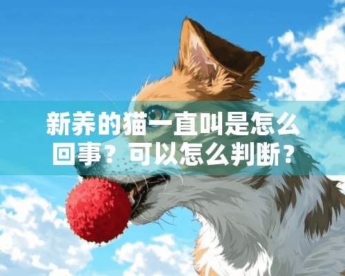 新养的猫一直叫是怎么回事？可以怎么判断？