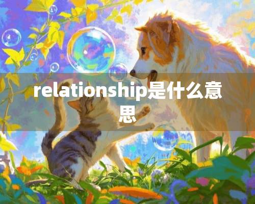 relationship是什么意思