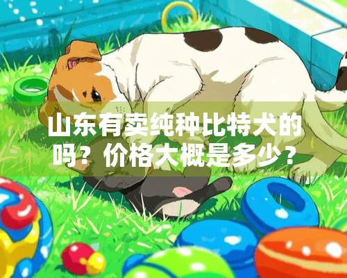 山东有卖纯种比特犬的吗？价格大概是多少？