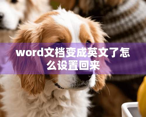 word文档变成英文了怎么设置回来