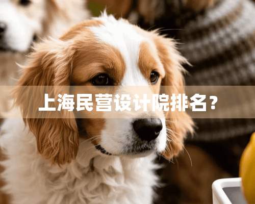 上海民营设计院排名？