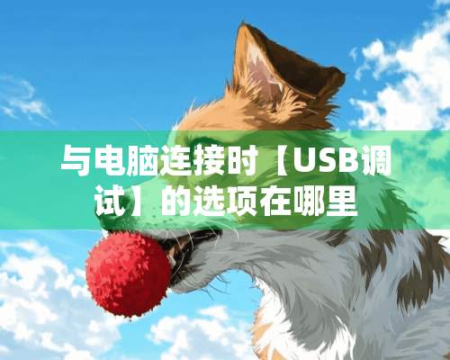 与电脑连接时【USB调试】的选项在哪里