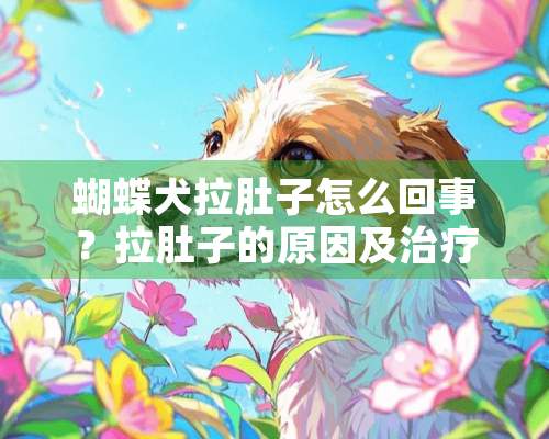 蝴蝶犬拉肚子怎么回事？拉肚子的原因及治疗方