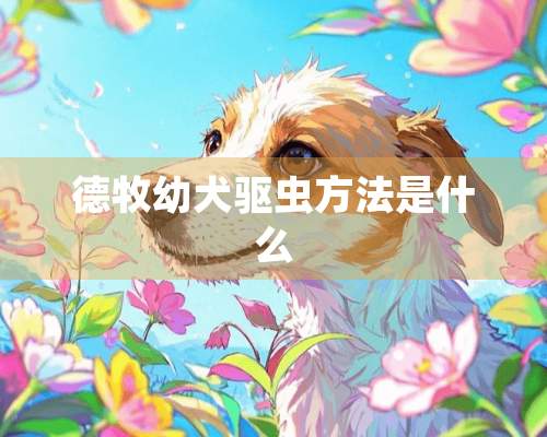 德牧幼犬驱虫方法是什么