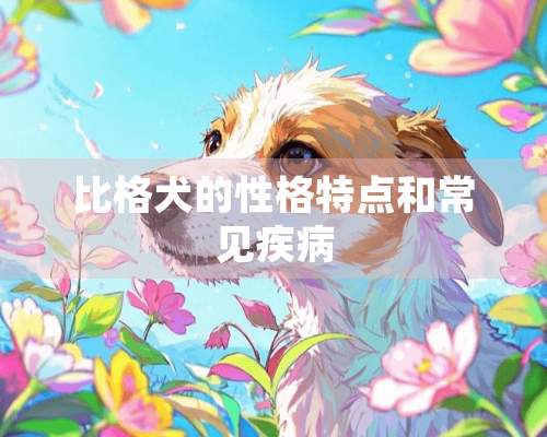 比格犬的性格特点和常见疾病