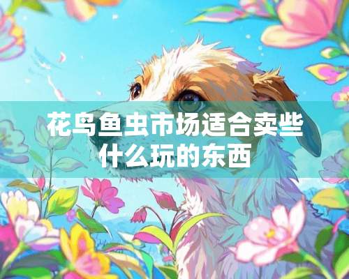 花鸟鱼虫市场适合卖些什么玩的东西