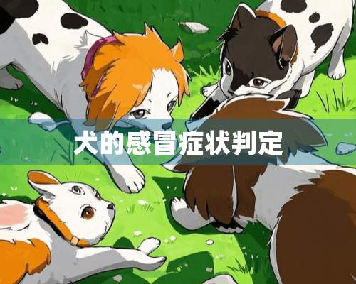 犬的感冒症状判定