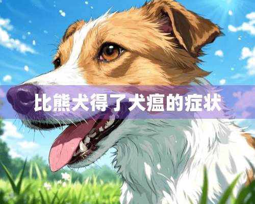 比熊犬得了犬瘟的症状